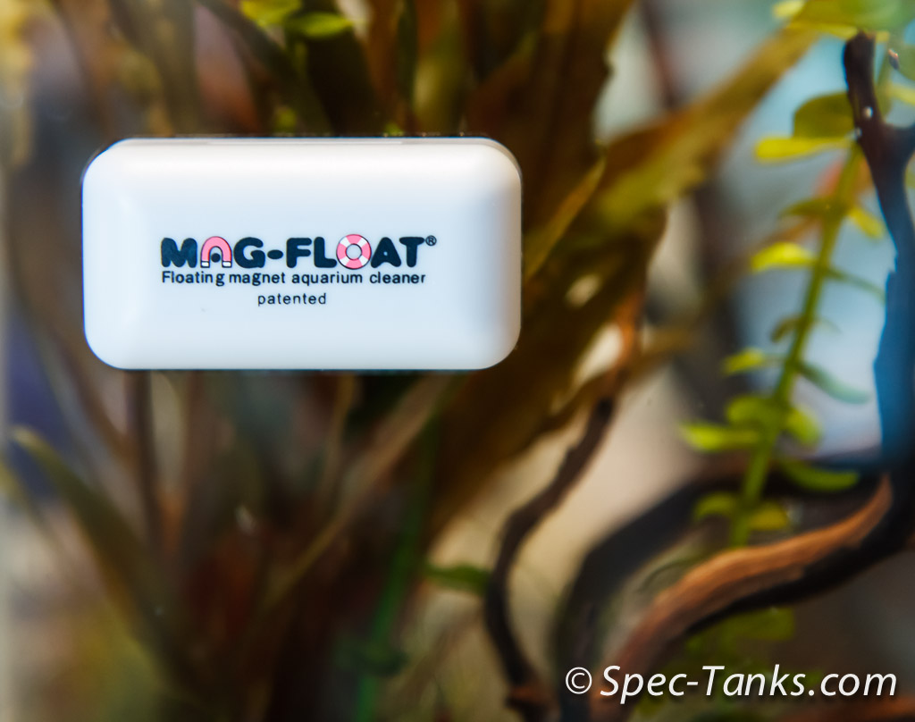 Mag-Float floating algae magnet Small on blister, Mag-Float floating algae  magnets